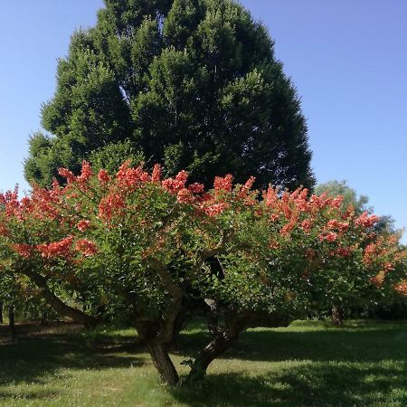 B&B Villa Napoli Battipaglia Buitenkant foto