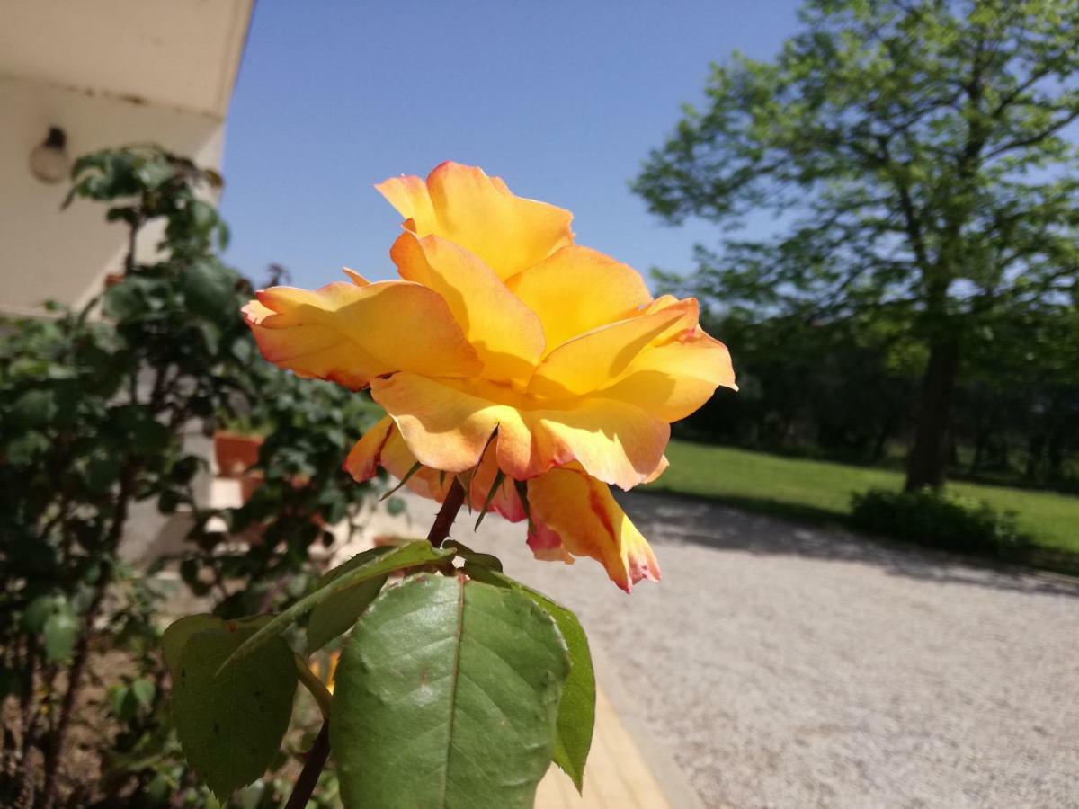 B&B Villa Napoli Battipaglia Buitenkant foto