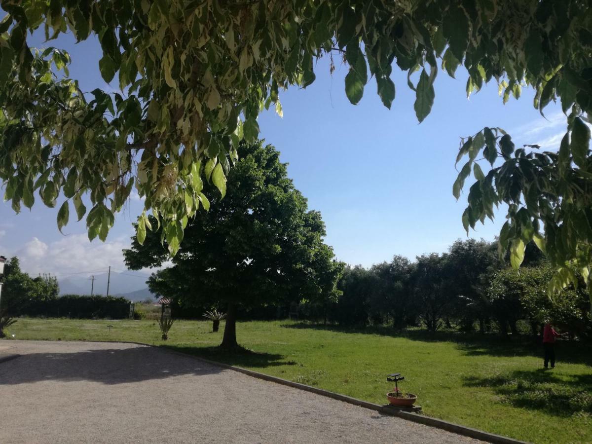 B&B Villa Napoli Battipaglia Buitenkant foto