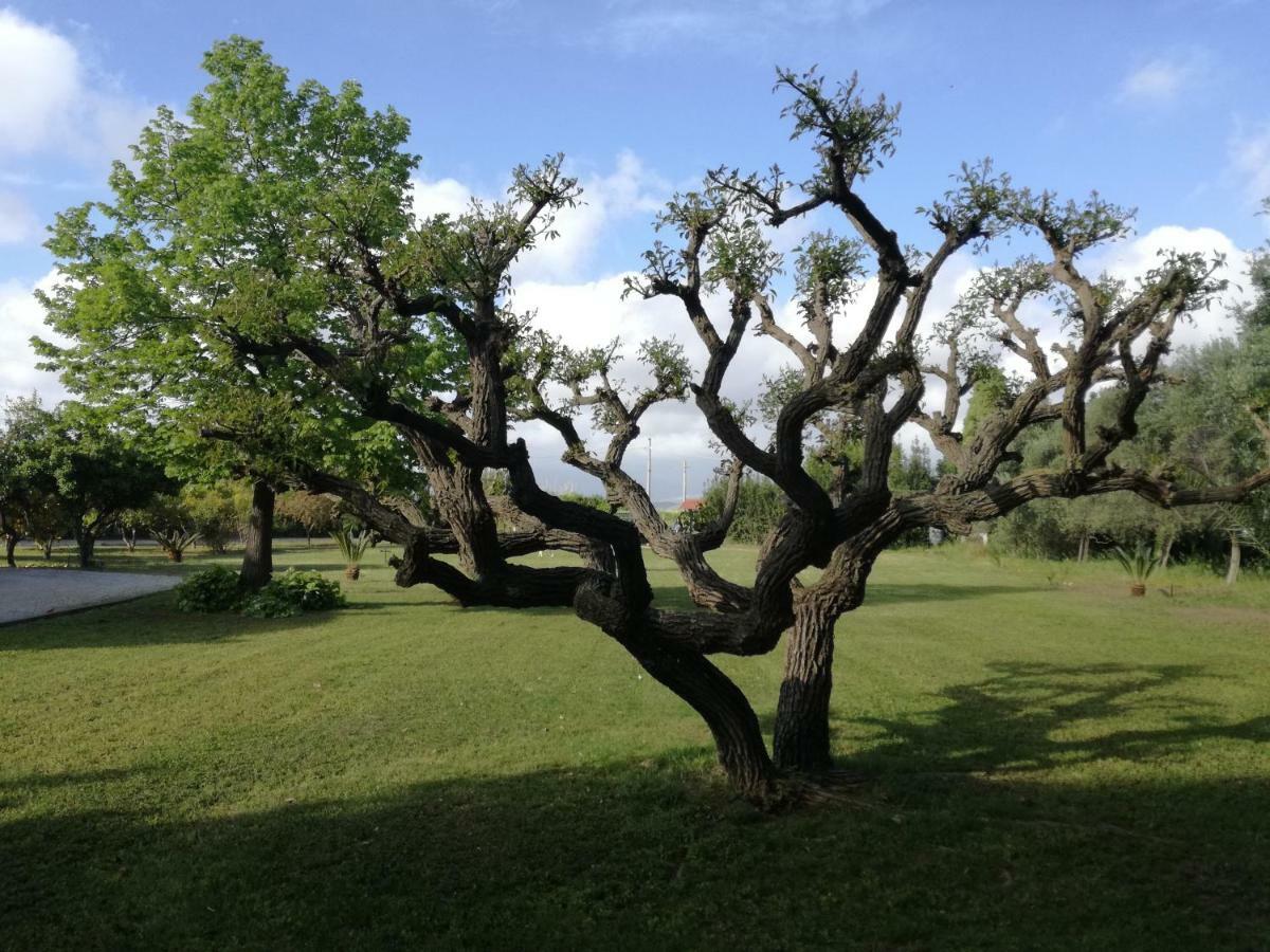 B&B Villa Napoli Battipaglia Buitenkant foto