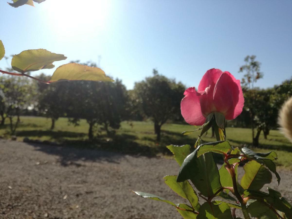 B&B Villa Napoli Battipaglia Buitenkant foto