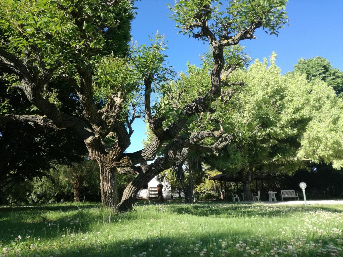 B&B Villa Napoli Battipaglia Buitenkant foto